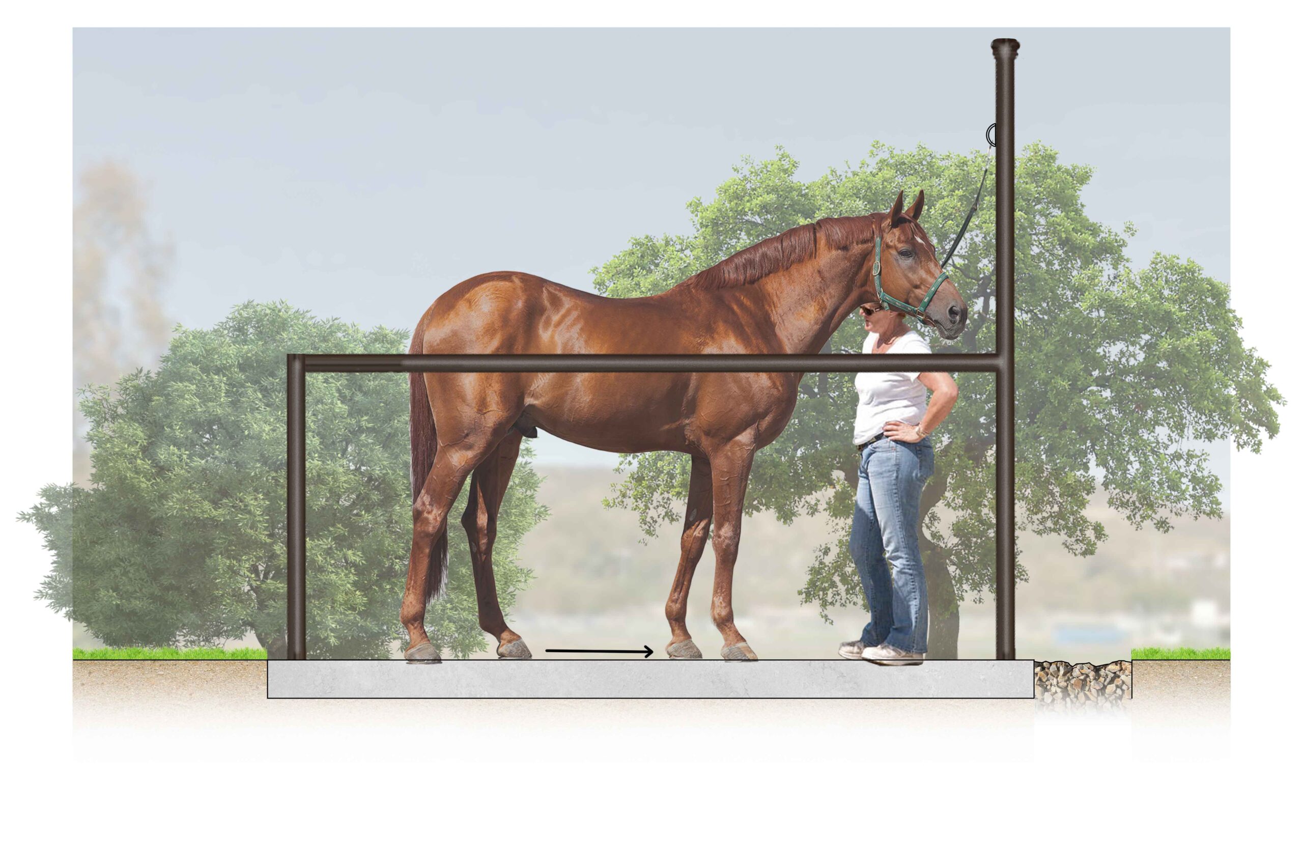 Wash Rack Side Elevation