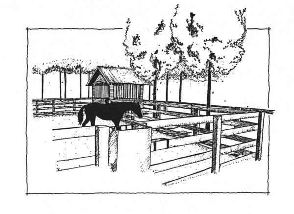 Corral