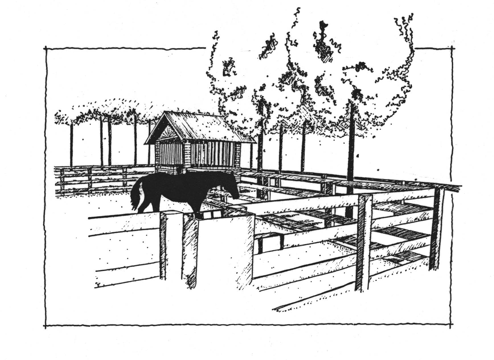Corral