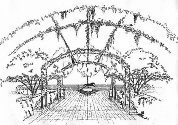 Holly Hill trellis