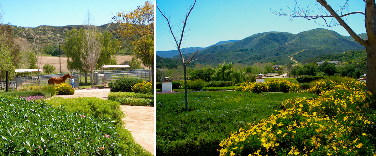 peacefield-farm6