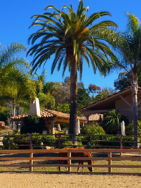 ranchosantafepaddockparadise