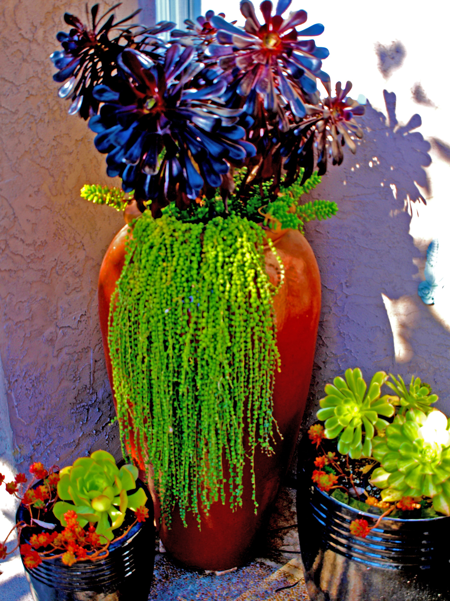 ken-succulent-pot