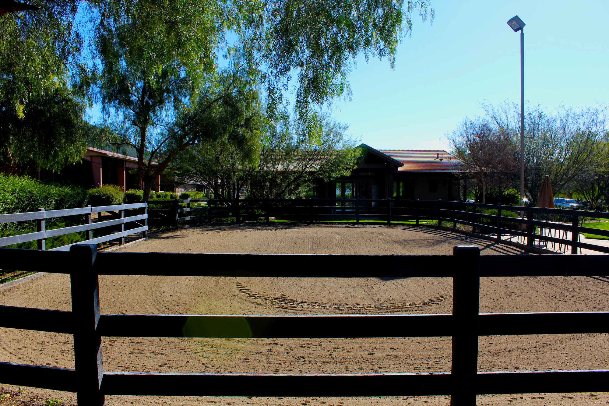 na-showing-ring